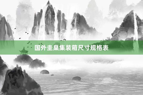 国外圭臬集装箱尺寸规格表