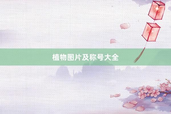 植物图片及称号大全