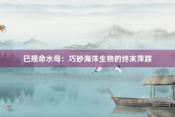 已殒命水母：巧妙海洋生物的终末萍踪